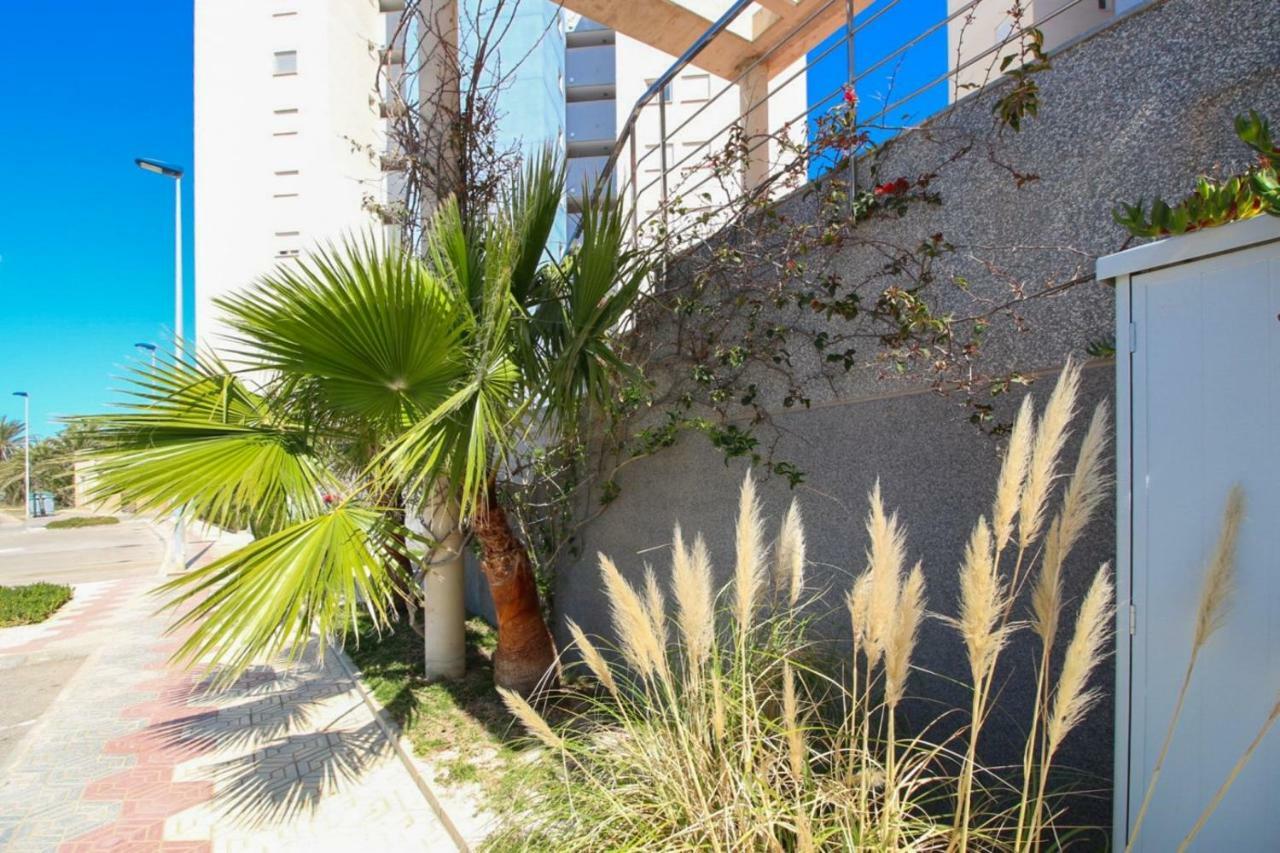 Veneziola Paraiso Apartment Λα Μάνγκα Δελ Μαρ Μενόρ Εξωτερικό φωτογραφία